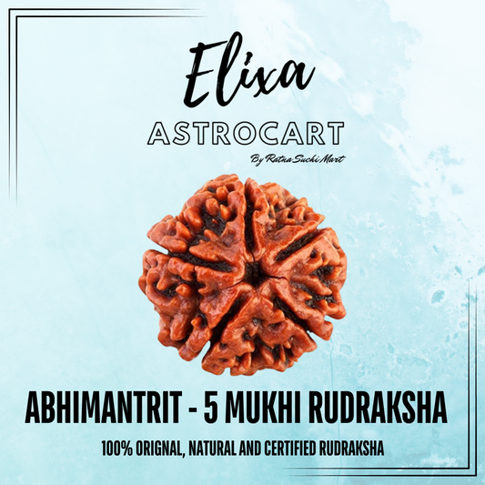 5 Mukhi Rudraksha [Certified | Abhimantrit - Energized | 100% Original and Natural]