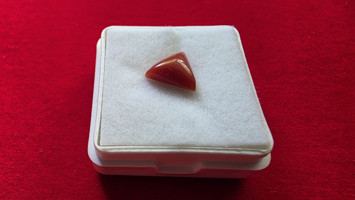 Triangular Red Coral (Moonga) – Powerful Mars Gemstone for Strength, Courage & Protection | Lab Certified | Natural | 100% Original