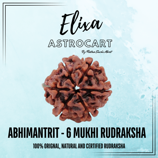 6 Mukhi Rudraksha [Certified | Abhimantrit - Energized | 100% Original and Natural]