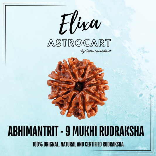 9 Mukhi Rudraksha [Certified | Abhimantrit - Energized | 100% Original and Natural]