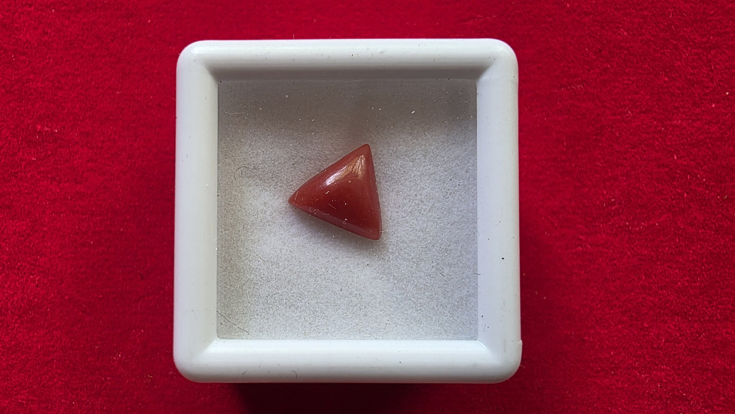 Triangular Red Coral (Moonga) – Powerful Mars Gemstone for Strength, Courage & Protection | Lab Certified | Natural | 100% Original