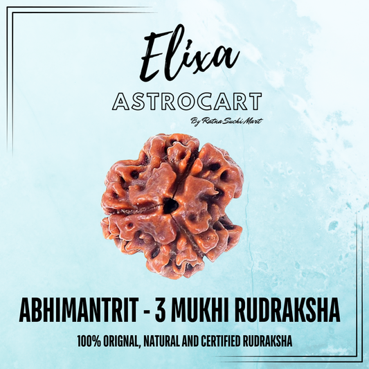 3 Mukhi Nepali Rudraksha [Certified | Abhimantrit - Energized | 100% Original and Natural]
