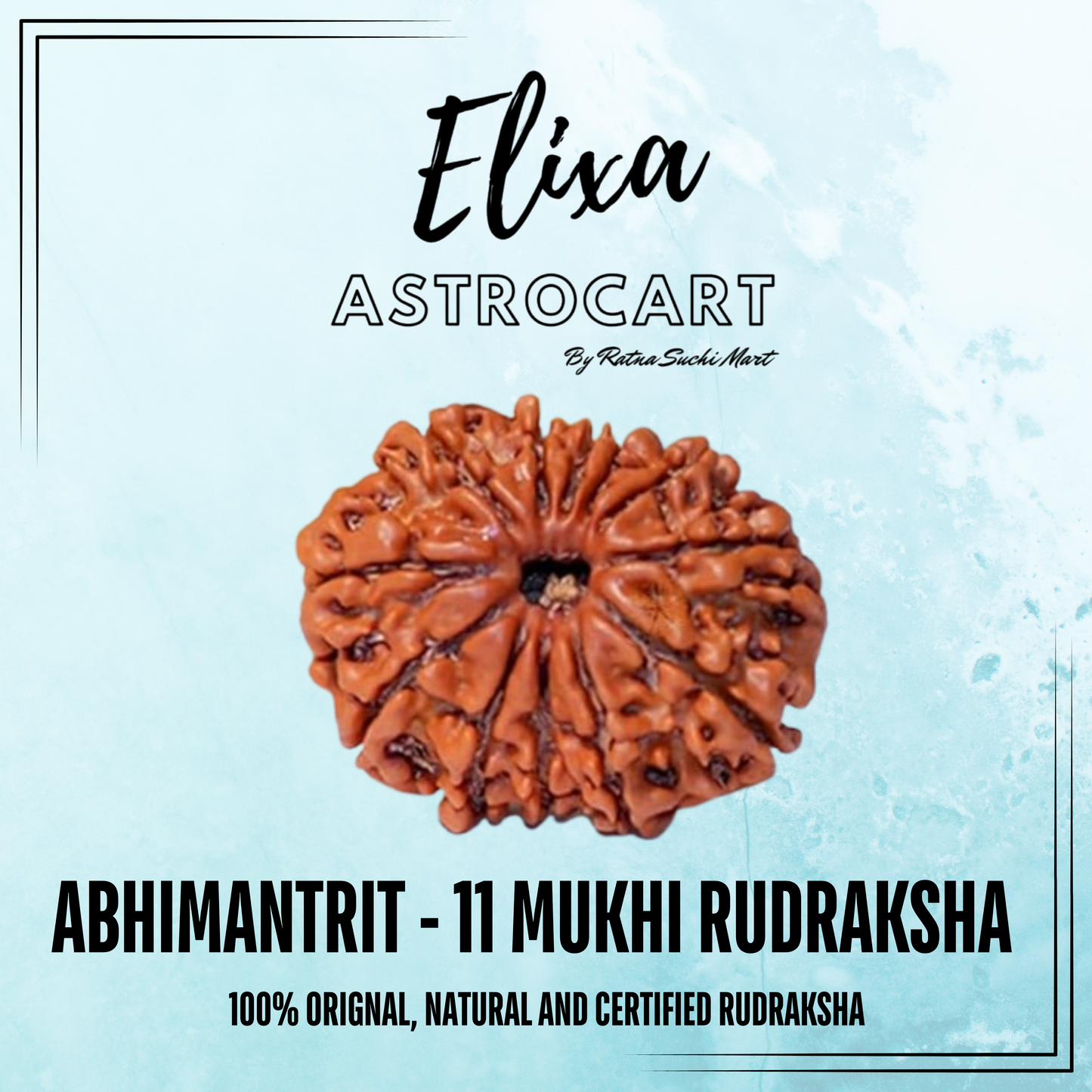 11 Mukhi Rudraksha [Certified | Abhimantrit - Energized | 100% Original and Natural]