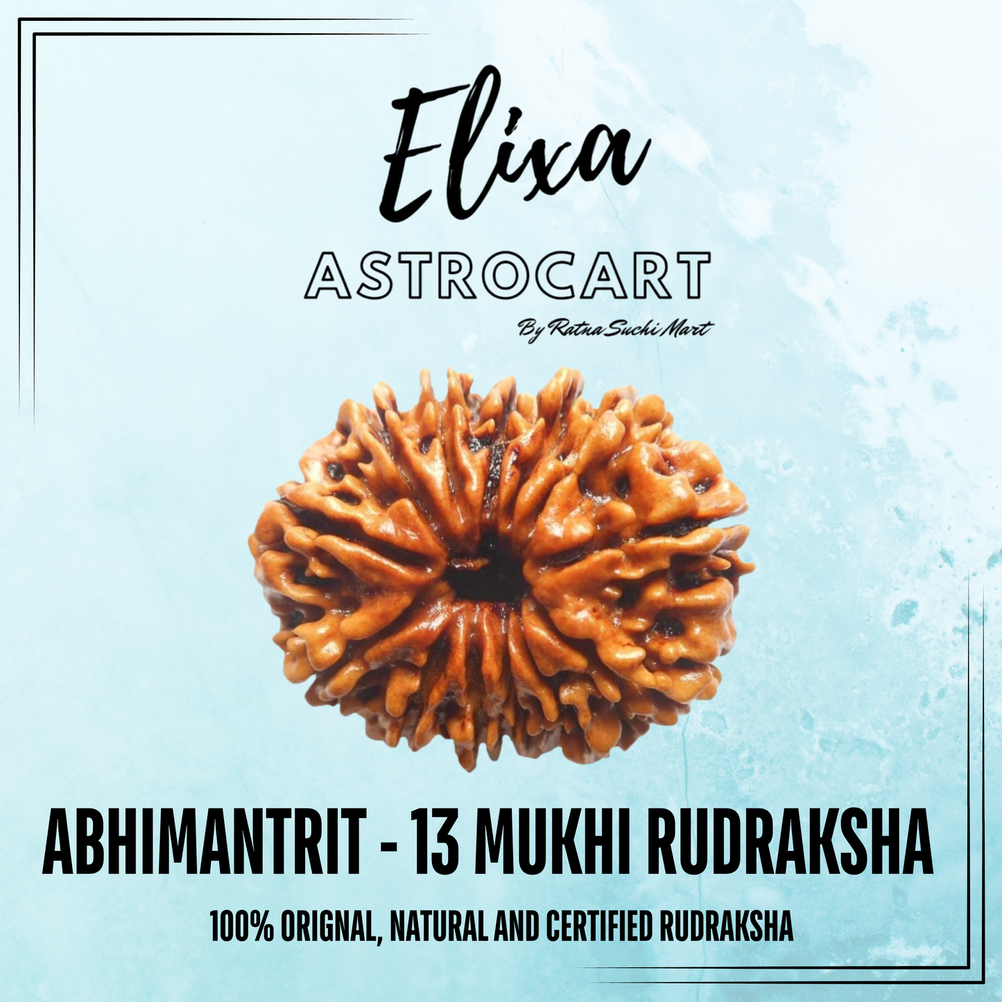 13 Mukhi Rudraksha [Certified | Abhimantrit - Energized | 100% Original and Natural]