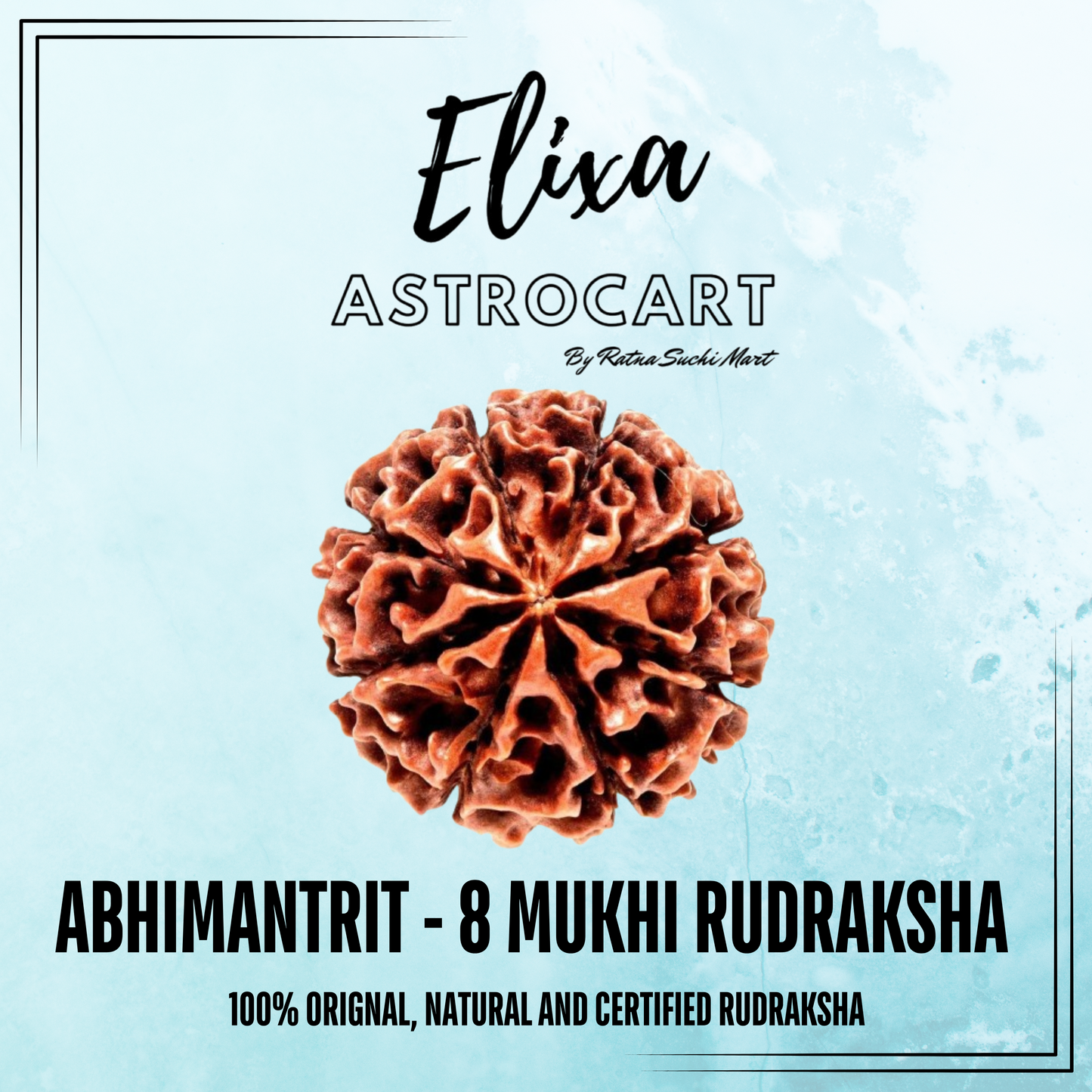 8 Mukhi Rudraksha [Certified | Abhimantrit - Energized | 100% Original and Natural]