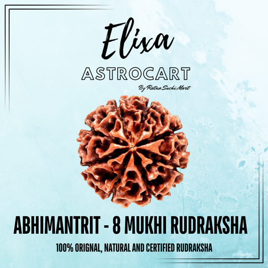 8 Mukhi Rudraksha [Certified | Abhimantrit - Energized | 100% Original and Natural]