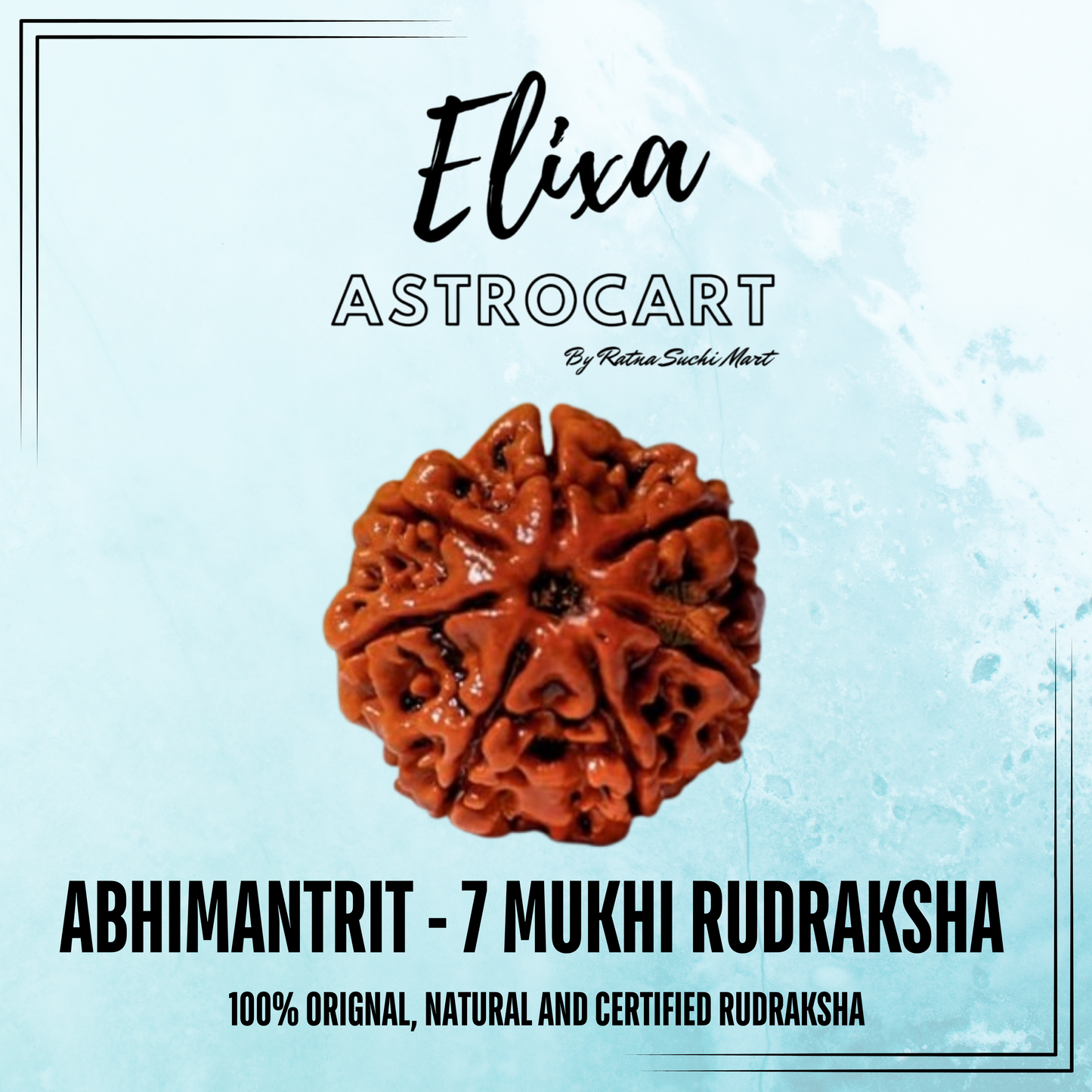 7 Mukhi Rudraksha [Certified | Abhimantrit - Energized | 100% Original and Natural]