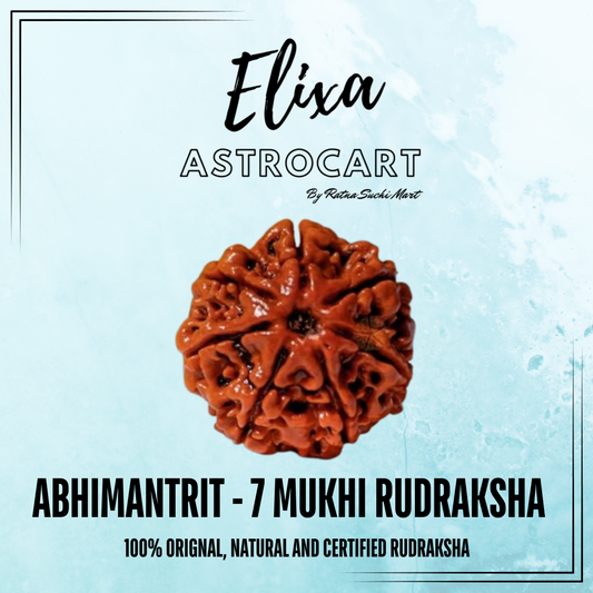 7 Mukhi Rudraksha [Certified | Abhimantrit - Energized | 100% Original and Natural]