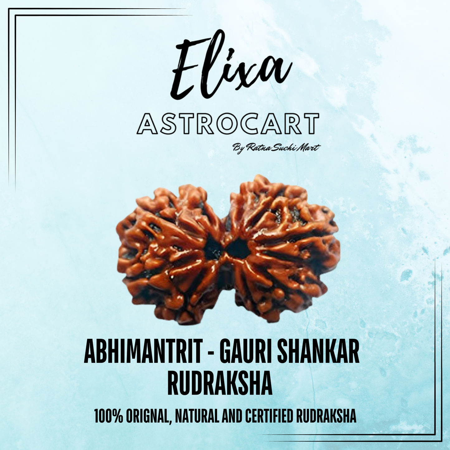 Gauri Shankar Rudraksha [Certified | Abhimantrit - Energized | 100% Original and Natural]