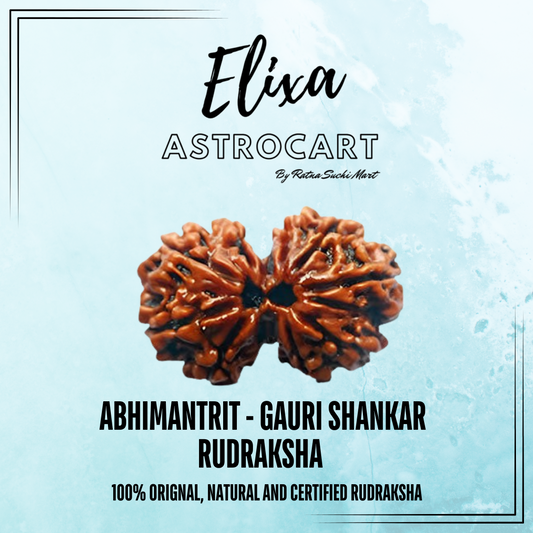Gauri Shankar Rudraksha [Certified | Abhimantrit - Energized | 100% Original and Natural]